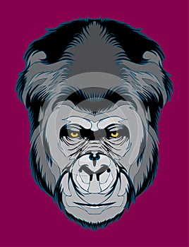 Gorilla headÃ¢â¬â stock illustration Ã¢â¬â stock illustration file photo